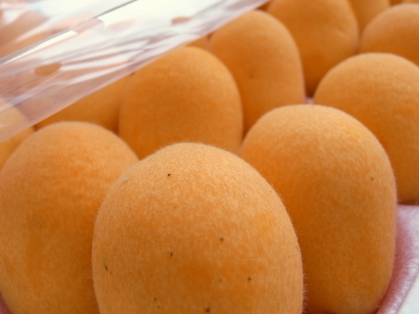 ƻ�αؤ���ߤ�45