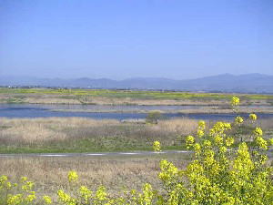 2004 03 28 kawa