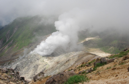 �����夦14