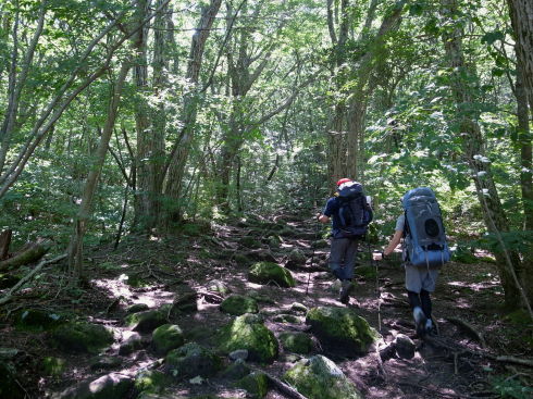 �����夦37��