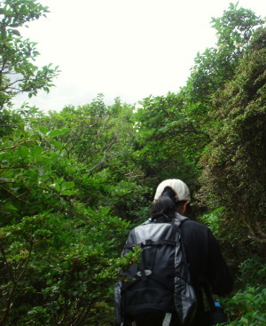 大船山59