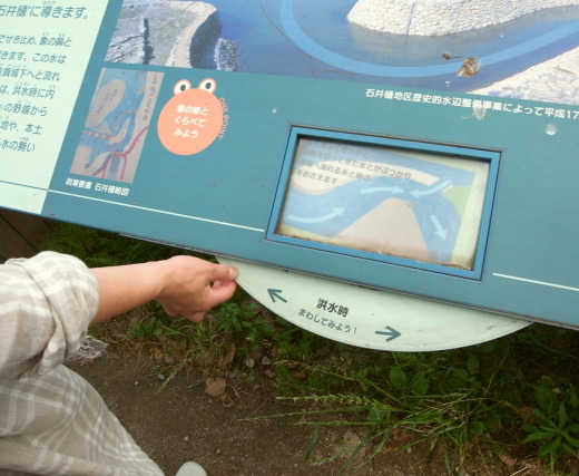 佐賀37