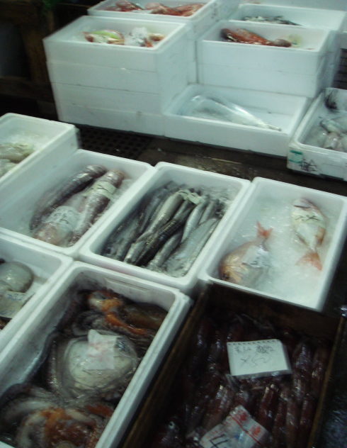 魚市場@鹿児島19