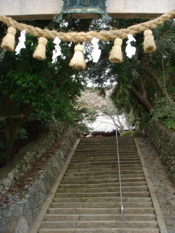 �޽�������11