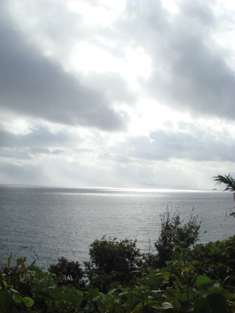 鹿児島33