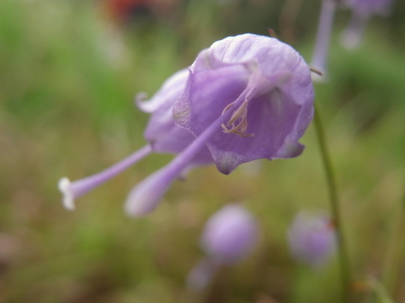 �����夦91