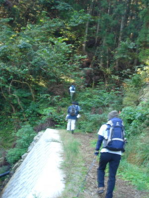 井原山12