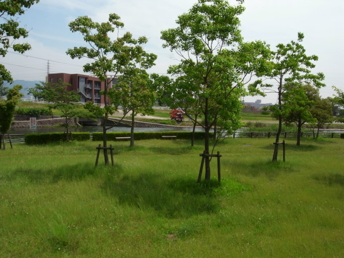 佐賀55