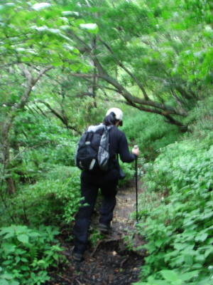 大船山14a