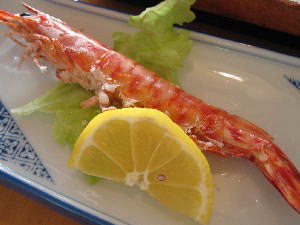 2004 04 24 dairiki4