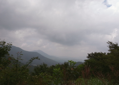 �����夦31