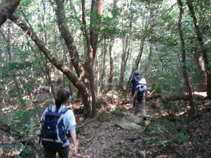 福智山84