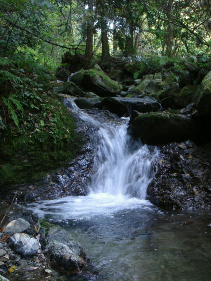 井原山20