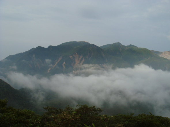 夦4-66