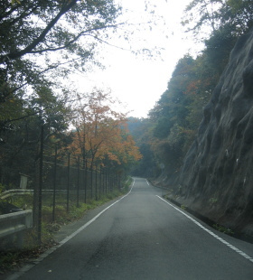 ë���ƹ�Ź10