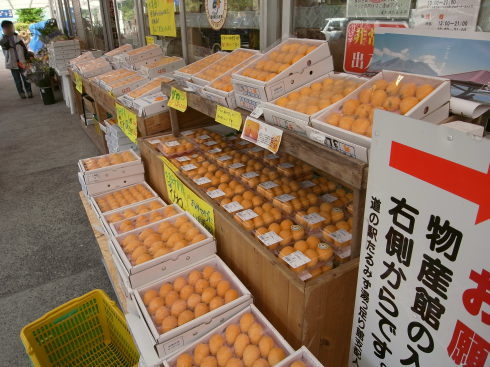 ƻ�αؤ���ߤ�41