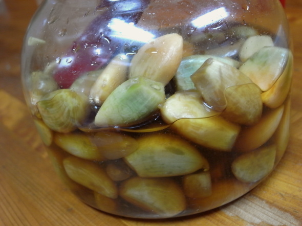 �衹�������ӻ�17