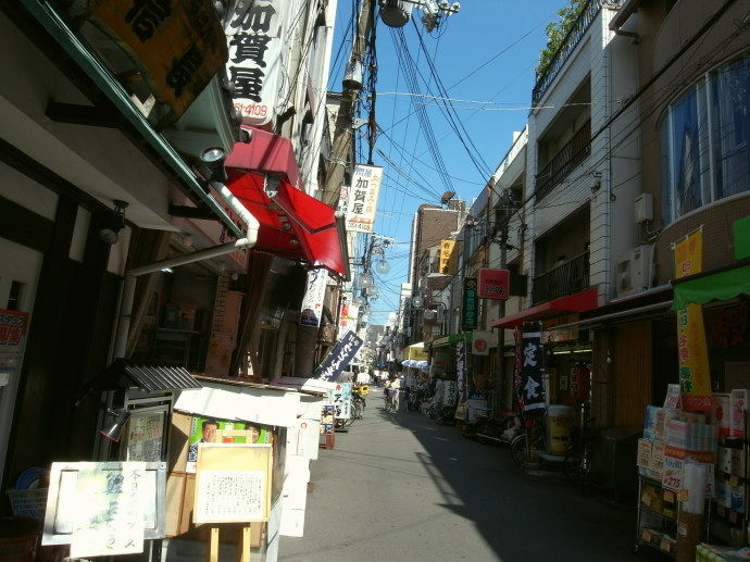 ŷ�����ھ�Ź��24