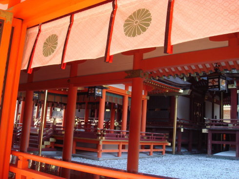 ��������51