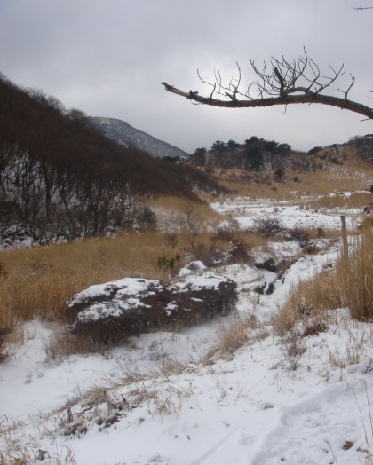 �����夦60