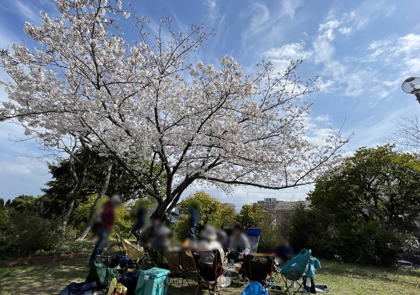 2026_04_05_sakura10