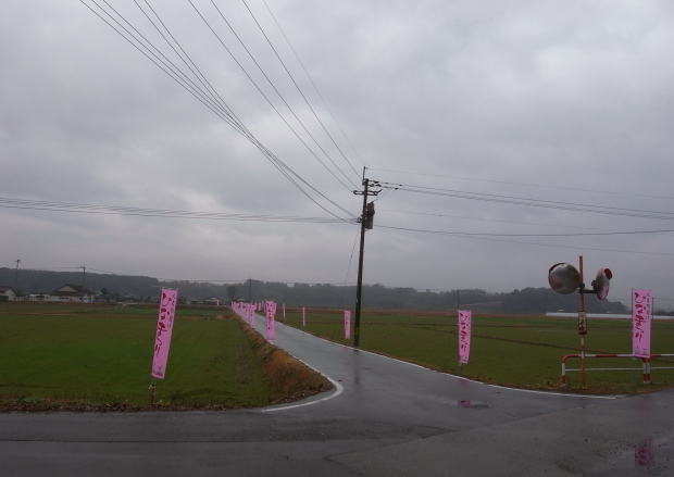 ������������¼98