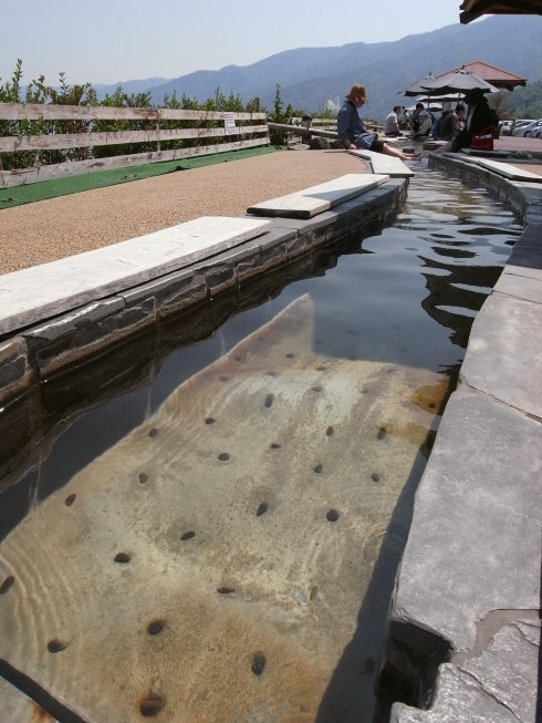 ƻ�αؤ���ߤ�34