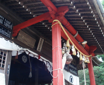 �޽�������70