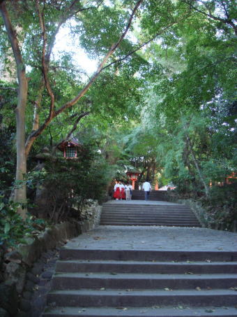 ��������24