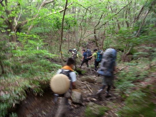 �����夦53