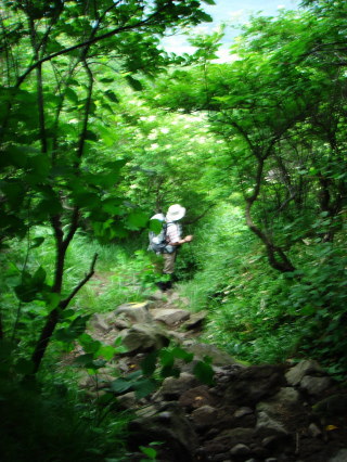 �����夦83