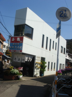 蒲江66