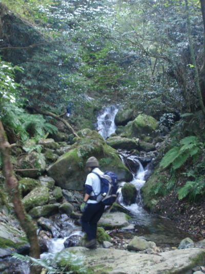 井原山17