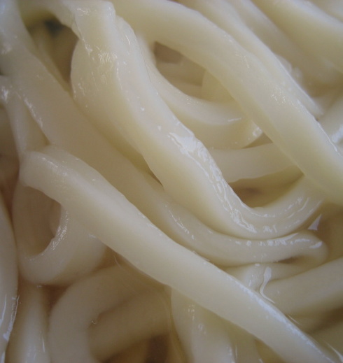 岸井うどん53