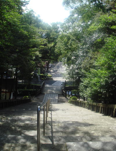 ���������41