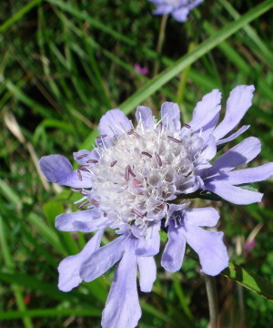 �����夦21