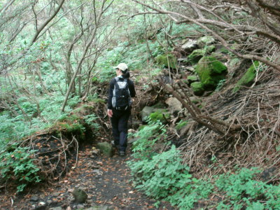 大船山53