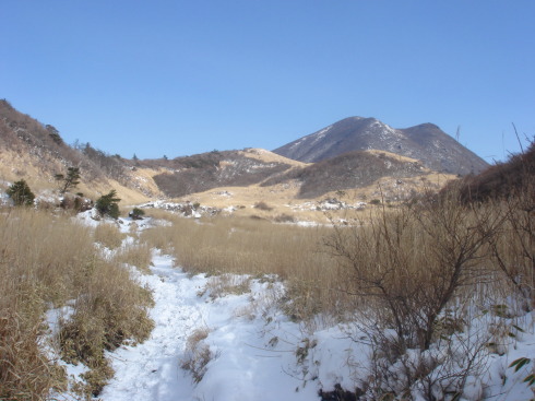 �����夦46