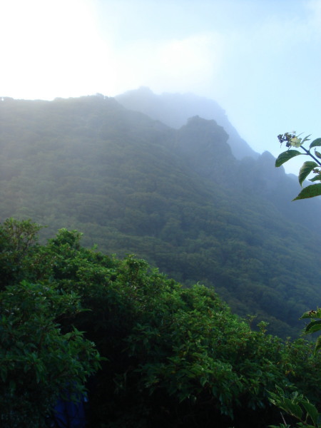 ������32