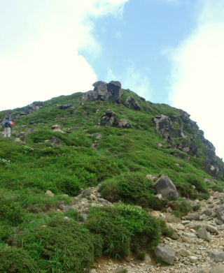 �����夦41