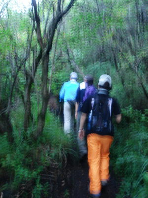 ������17