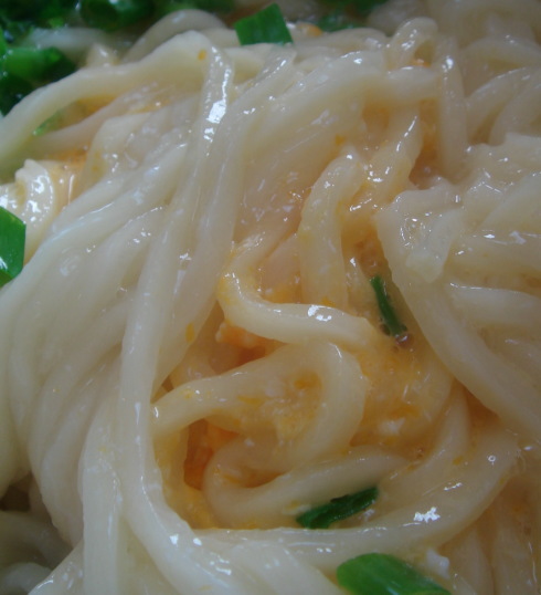 大地のうどん60