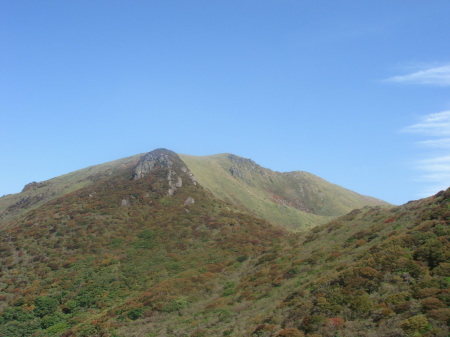 �����夦15