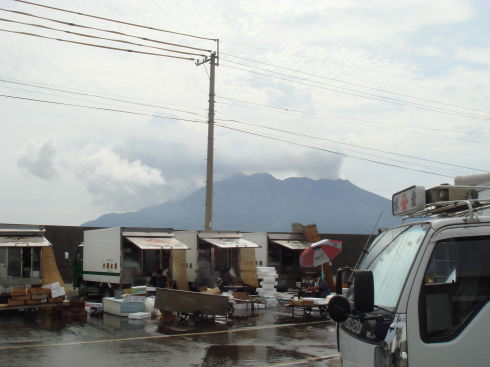 魚市場@鹿児島17