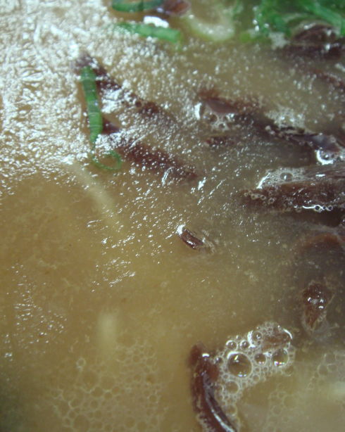 麒麟24