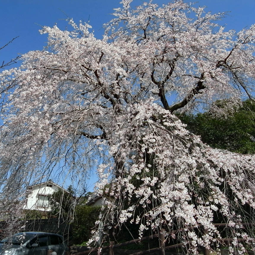 2010_03_19_hita13