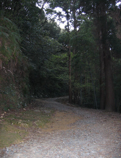2004_04_17_tsuru20