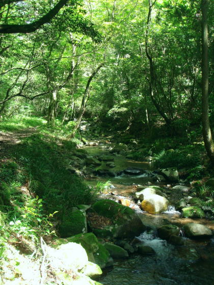 福智山登山17