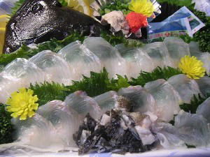 2004 03 31 hirame