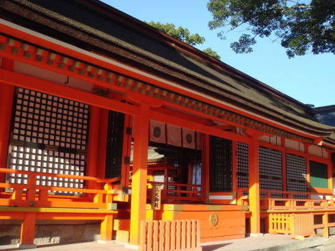 ��������50